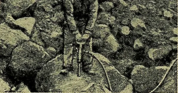 An illustration from Handbook of construction plant, its cost and efficiency, 1914, leaf 260