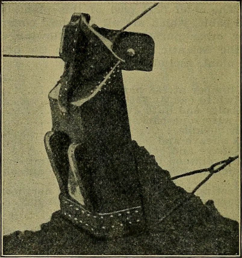 An illustration from Handbook of construction plant, its cost and efficiency, 1914, leaf 317