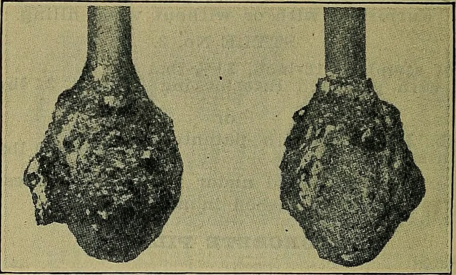 An illustration from Handbook of construction plant, its cost and efficiency, 1914, leaf 479