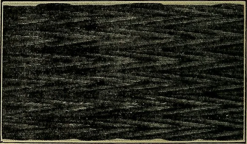 An illustration from Handbook of construction plant, its cost and efficiency, 1914, leaf 565