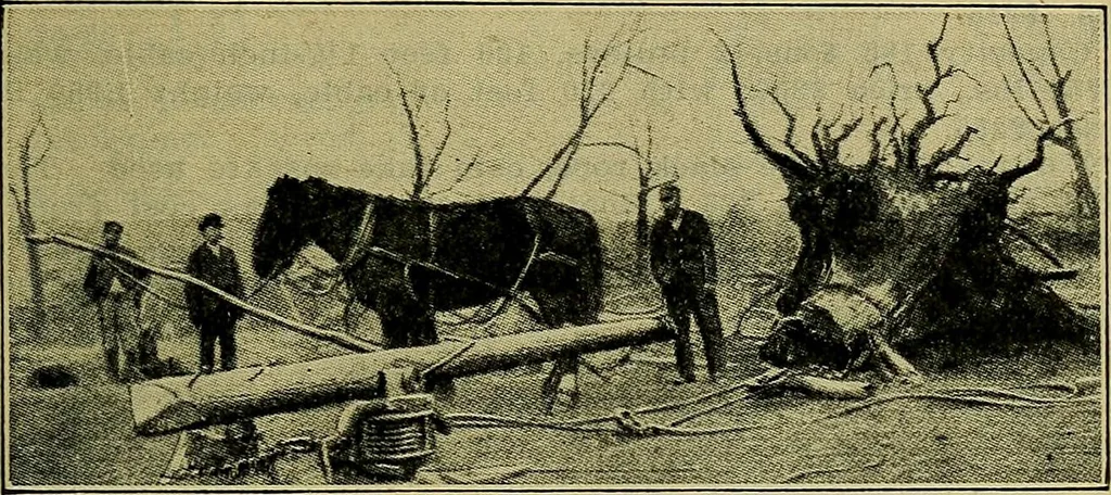 An illustration from Handbook of construction plant, its cost and efficiency, 1914, leaf 614