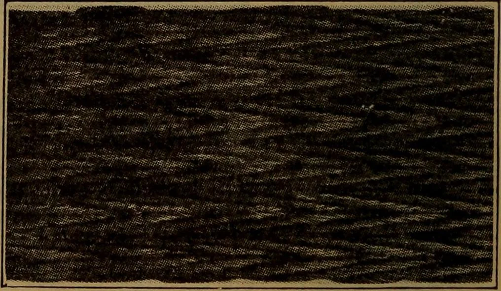 An illustration from Handbook of construction plant, its cost and efficiency, 1918, leaf 564