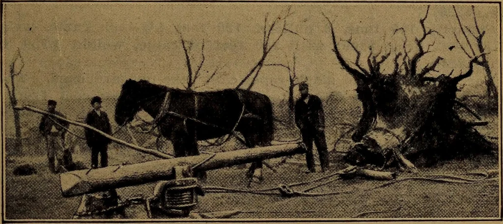 An illustration from Handbook of construction plant, its cost and efficiency, 1918, leaf 613