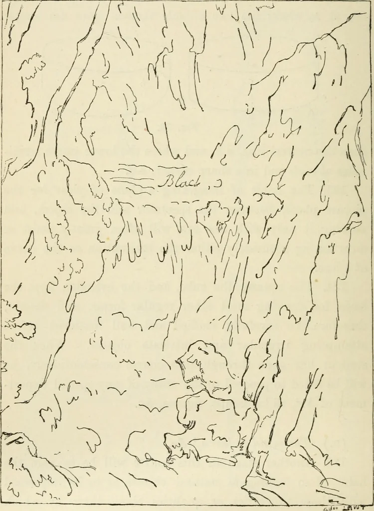 An illustration from Handbook of drawing, 1880, leaf 101