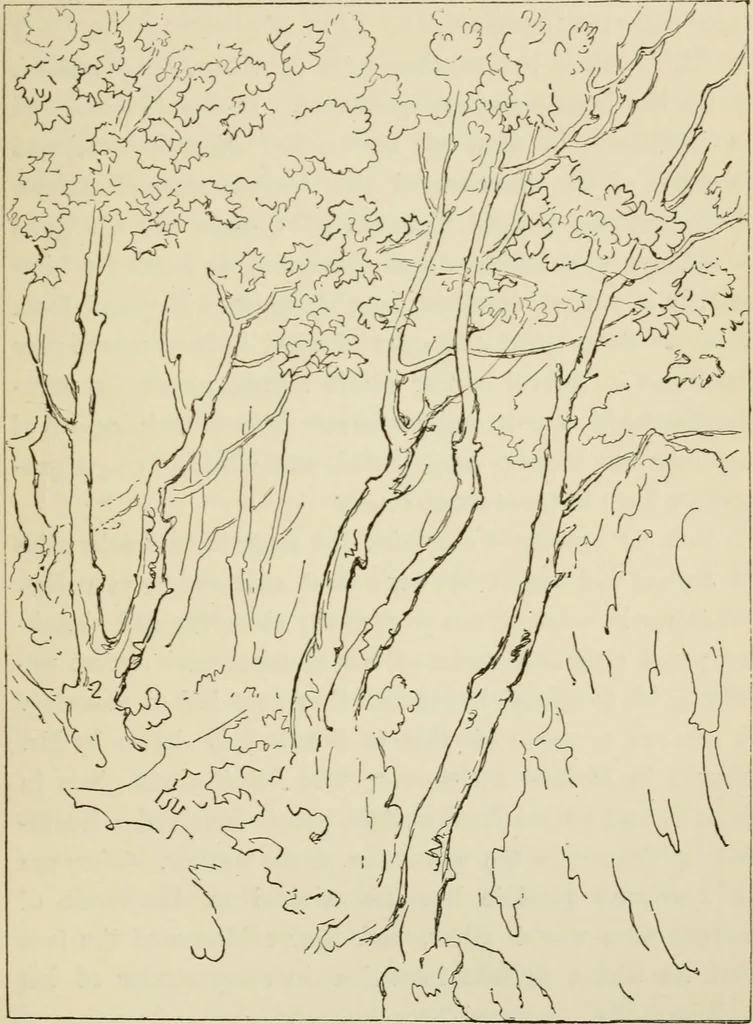 An illustration from Handbook of drawing, 1880, leaf 102