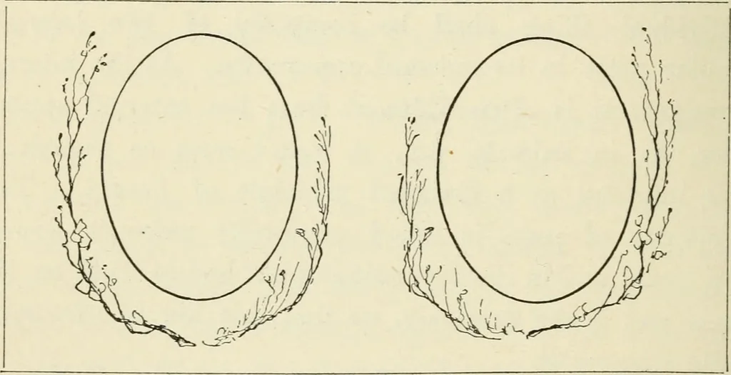 An illustration from Handbook of drawing, 1880, leaf 119