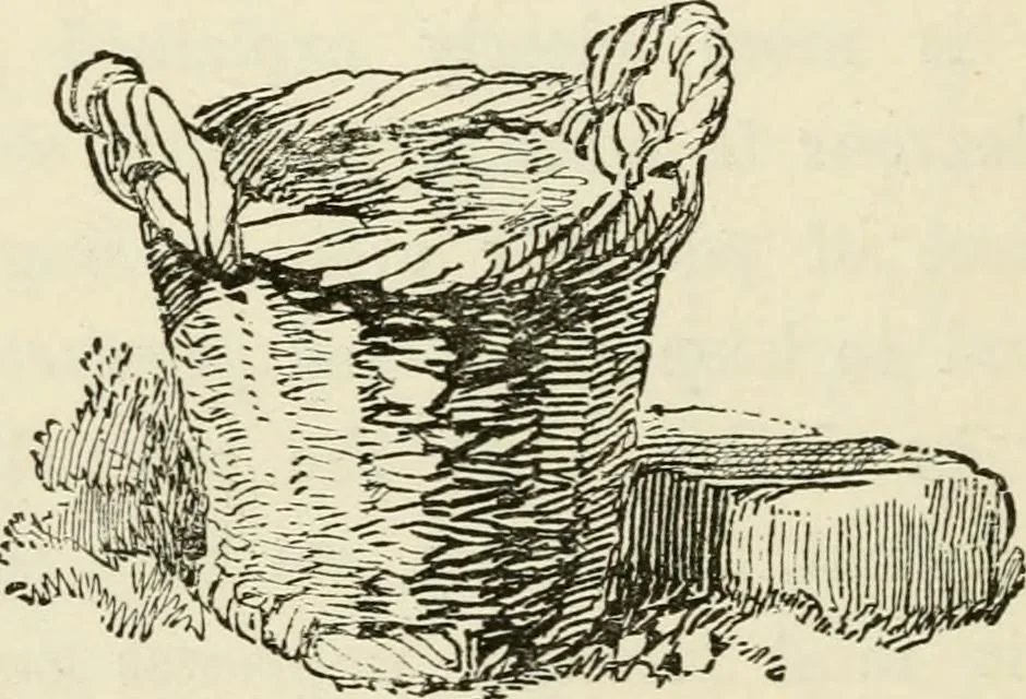 An illustration from Handbook of drawing, 1880, leaf 123