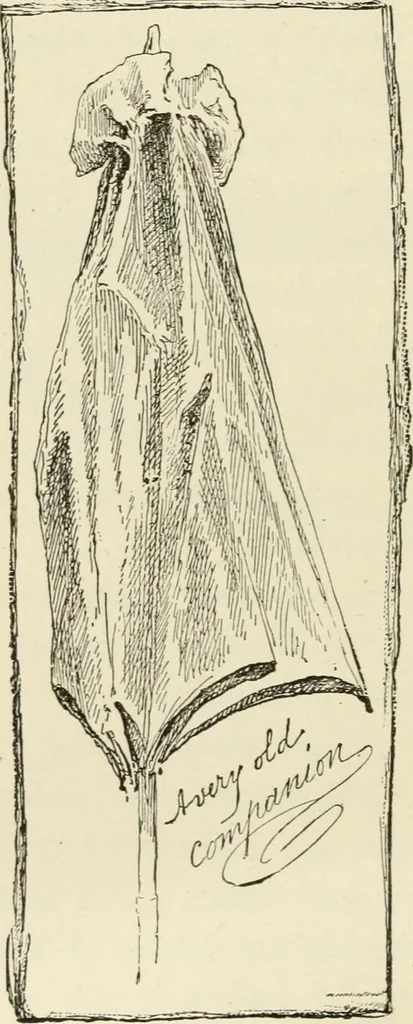 An illustration from Handbook of drawing, 1880, leaf 129