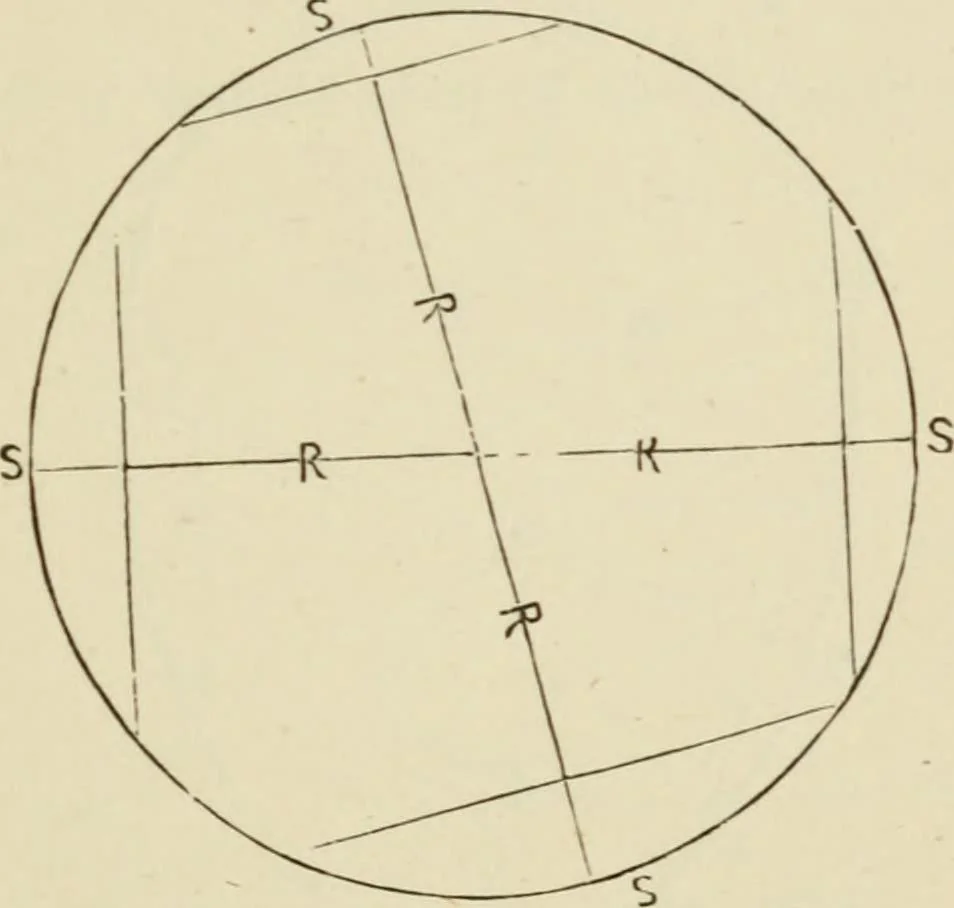 An illustration from Handbook of drawing, 1880, leaf 142