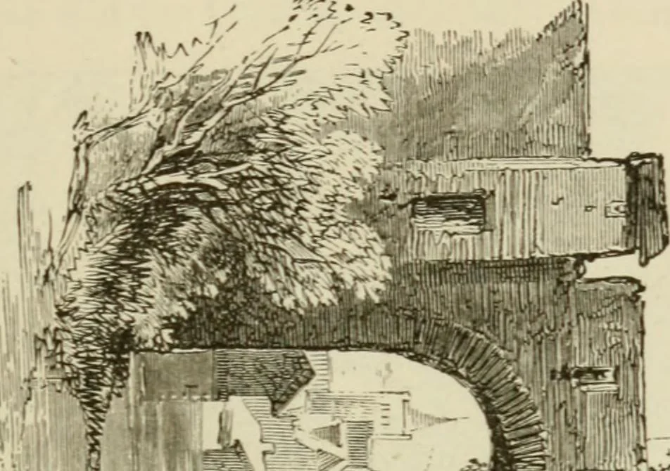 An illustration from Handbook of drawing, 1880, leaf 164