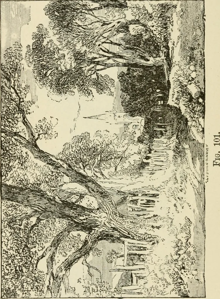 An illustration from Handbook of drawing, 1880, leaf 165