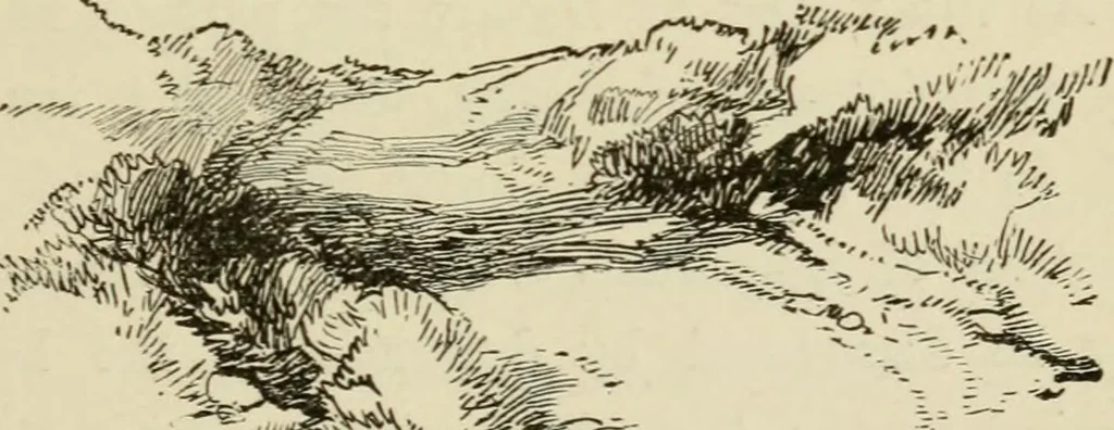An illustration from Handbook of drawing, 1880, leaf 166