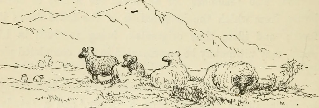 An illustration from Handbook of drawing, 1880, leaf 177