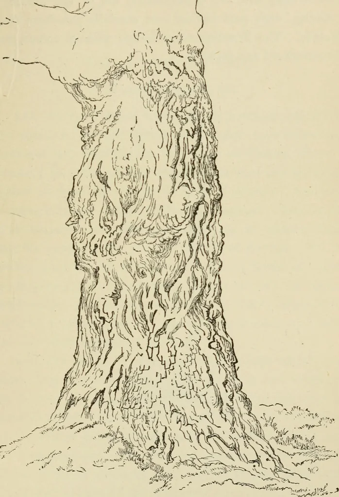 An illustration from Handbook of drawing, 1880, leaf 180