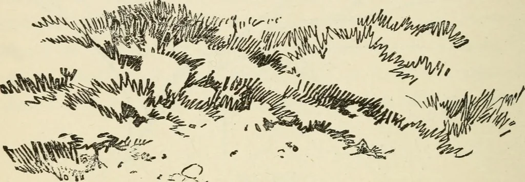 An illustration from Handbook of drawing, 1880, leaf 187