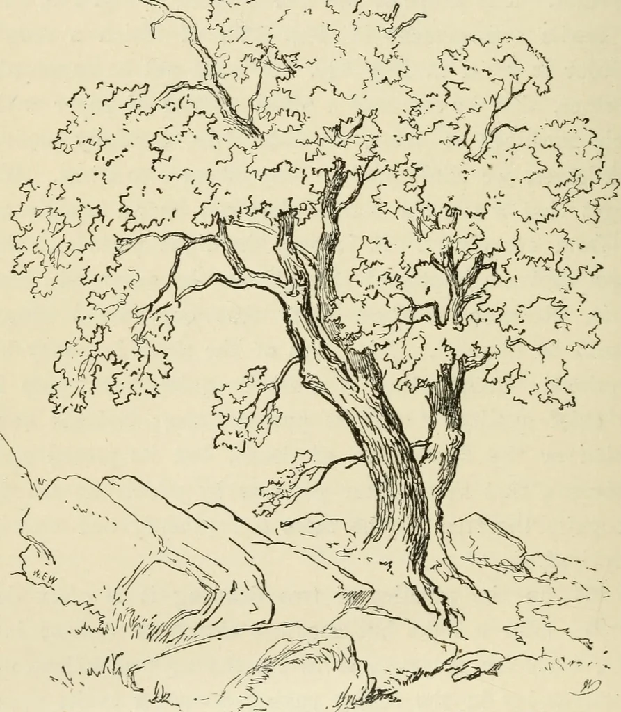 An illustration from Handbook of drawing, 1880, leaf 197