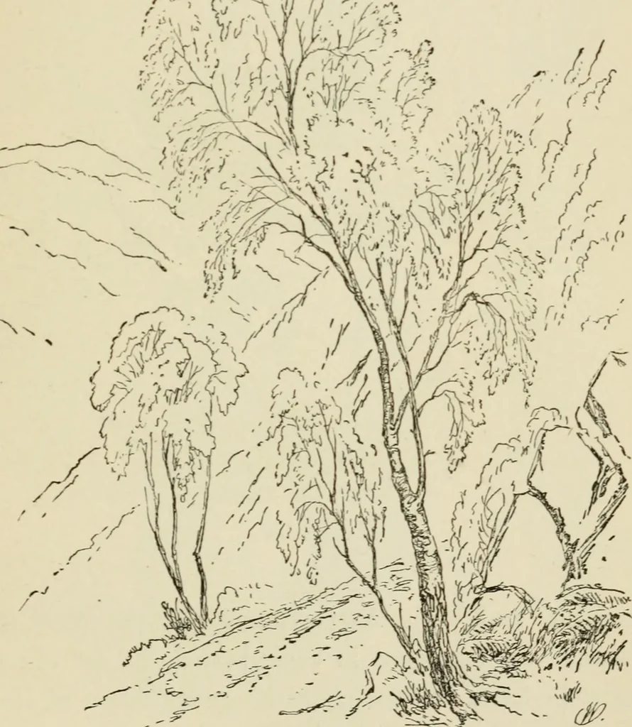 An illustration from Handbook of drawing, 1880, leaf 204