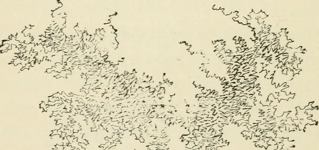 An illustration from Handbook of drawing, 1880, leaf 211
