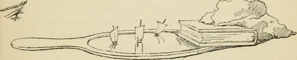 An illustration from Handbook of drawing, 1880, leaf 218