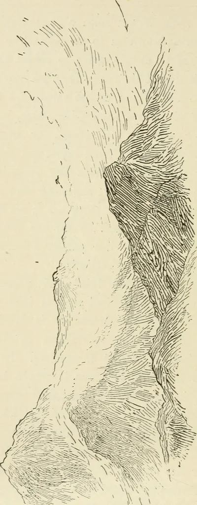 An illustration from Handbook of drawing, 1880, leaf 231