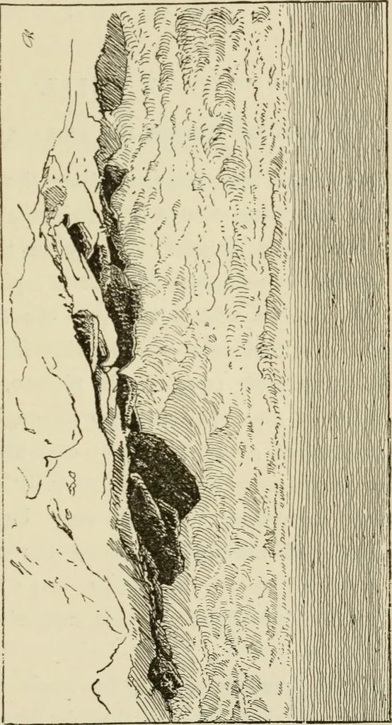 An illustration from Handbook of drawing, 1880, leaf 232
