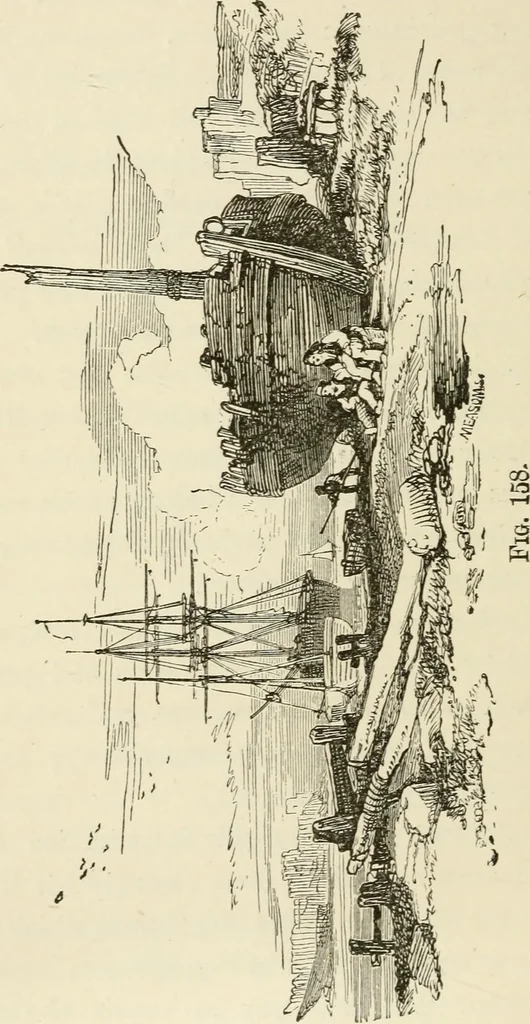 An illustration from Handbook of drawing, 1880, leaf 235