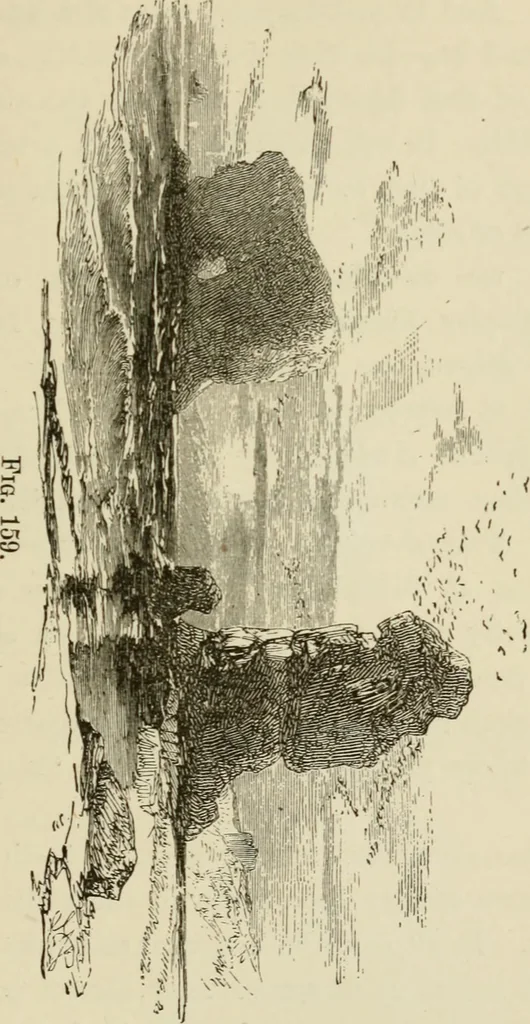 An illustration from Handbook of drawing, 1880, leaf 236