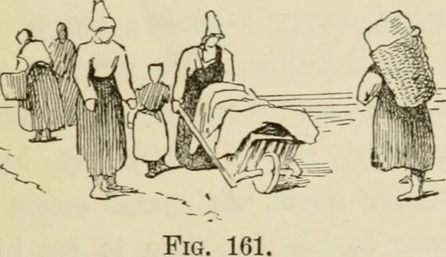 An illustration from Handbook of drawing, 1880, leaf 238