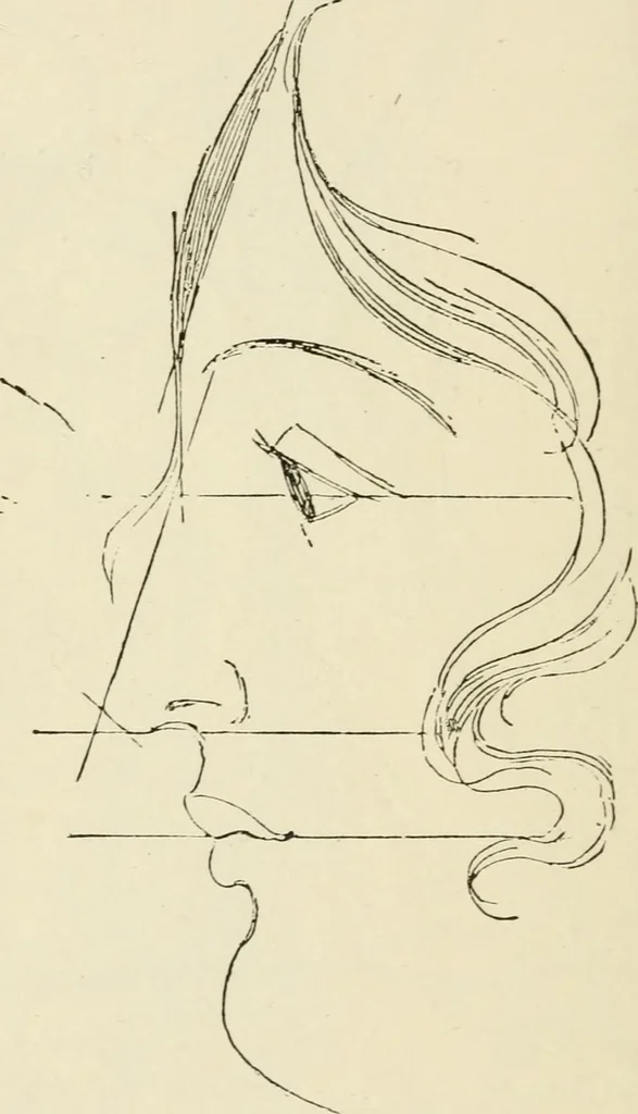 An illustration from Handbook of drawing, 1880, leaf 63