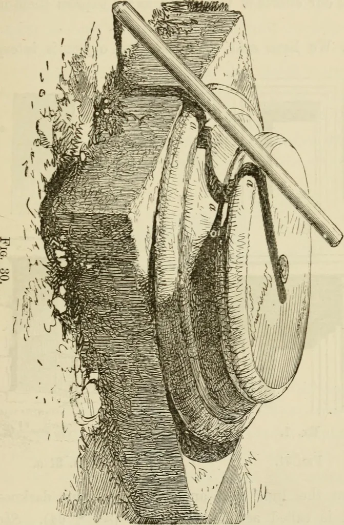 An illustration from Handbook of drawing, 1880, leaf 74