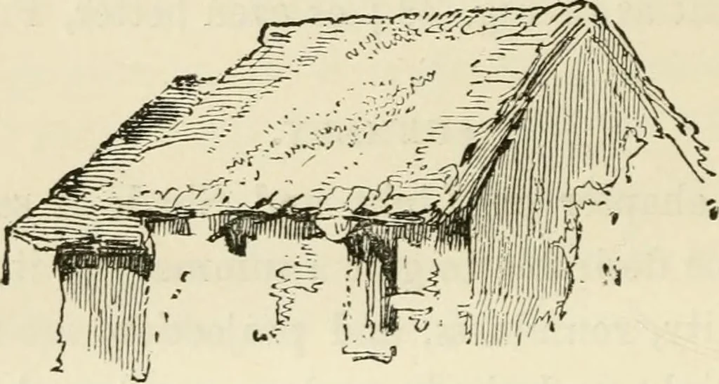 An illustration from Handbook of drawing, 1880, leaf 81
