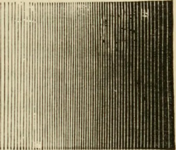 An illustration from Handbook of drawing, 1880, leaf 92