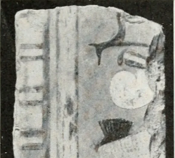 An illustration from A handbook of the Egyptian rooms .., 1918, leaf 102