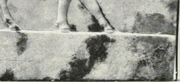 An illustration from A handbook of the Egyptian rooms .., 1918, leaf 161