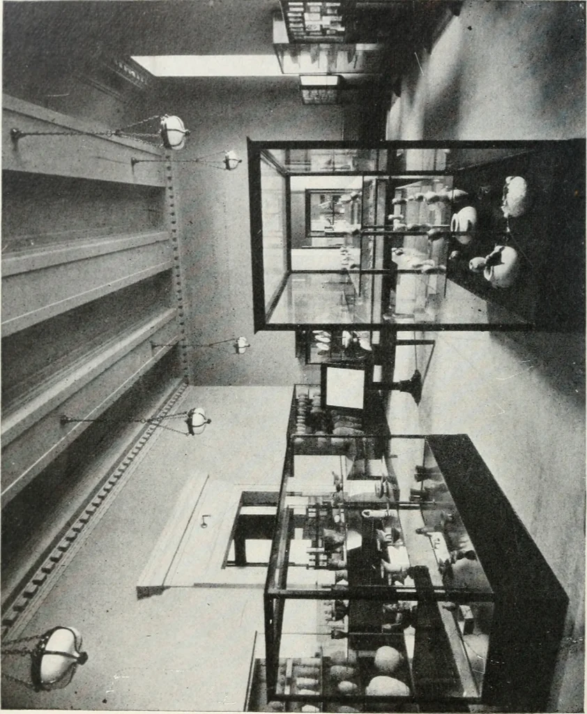 An illustration from A handbook of the Egyptian rooms .., 1918, leaf 33