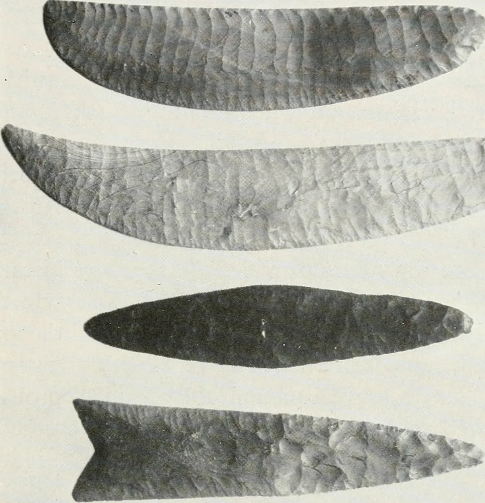 An illustration from A handbook of the Egyptian rooms .., 1918, leaf 38