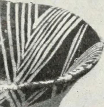 An illustration from A handbook of the Egyptian rooms .., 1918, leaf 40