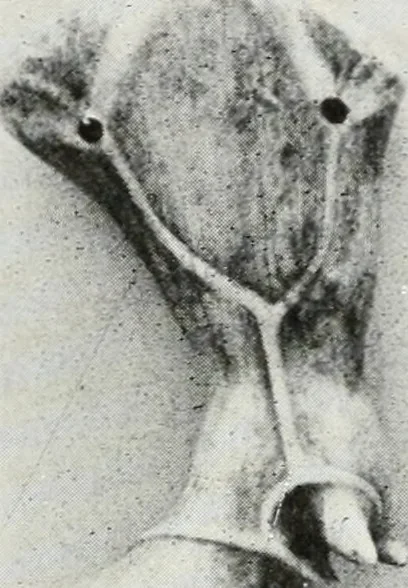 An illustration from A handbook of the Egyptian rooms .., 1918, leaf 44