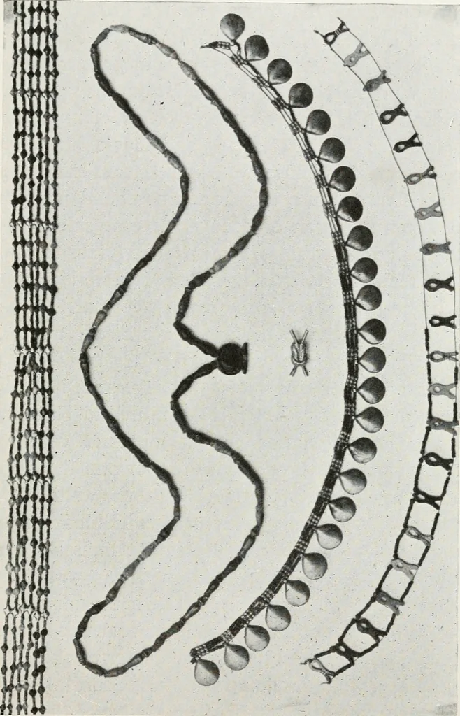 An illustration from A handbook of the Egyptian rooms .., 1918, leaf 86