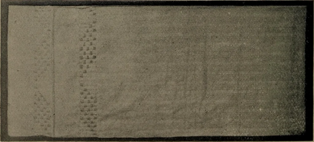 An illustration from A handbook of elementary sewing, 1915, leaf 6