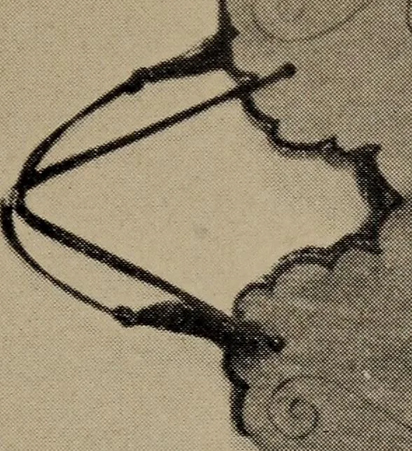 An illustration from A handbook of elementary sewing, 1915, leaf 63