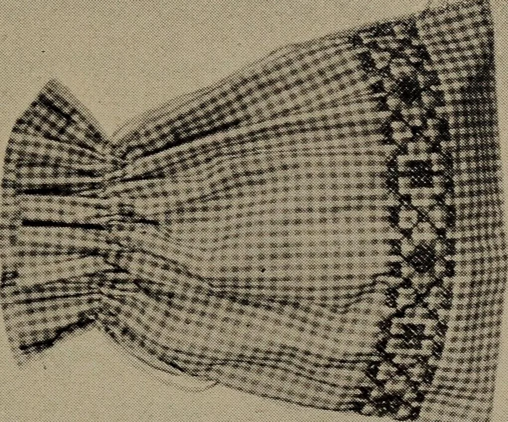 An illustration from A handbook of elementary sewing, 1915, leaf 63