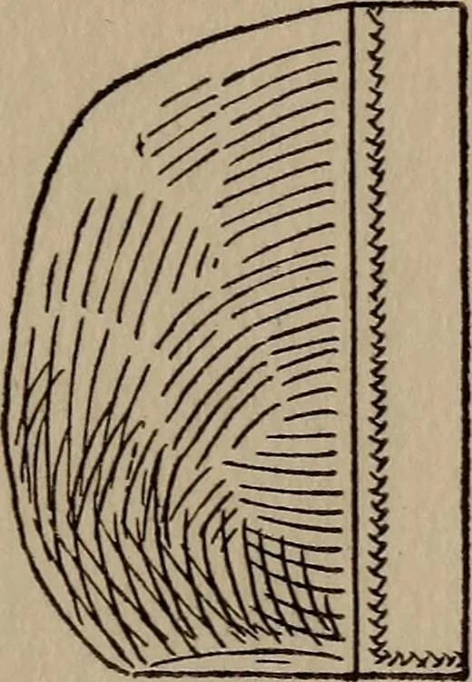 An illustration from A handbook of elementary sewing, 1915, leaf 69