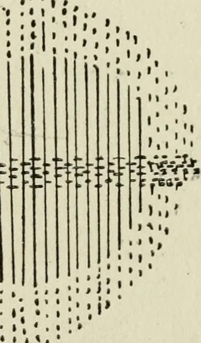 An illustration from A handbook of elementary sewing, 1915, leaf 51