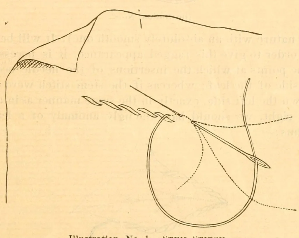 An illustration from Hand-book of embroidery;, 1880, leaf 5
