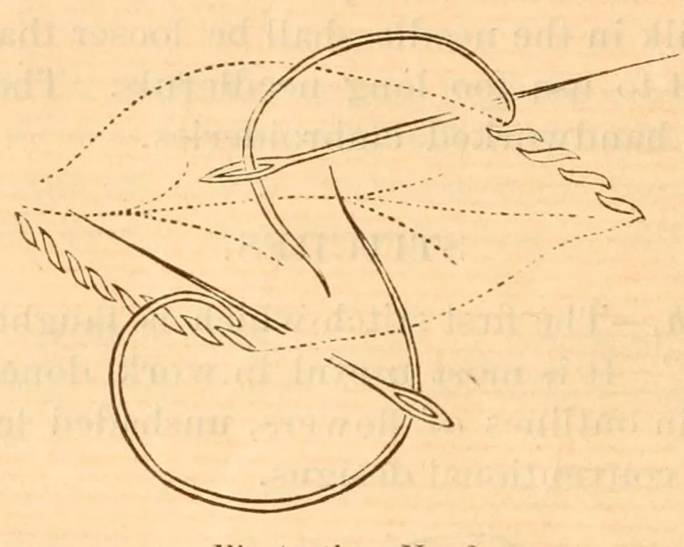 An illustration from Hand-book of embroidery;, 1880, leaf 6