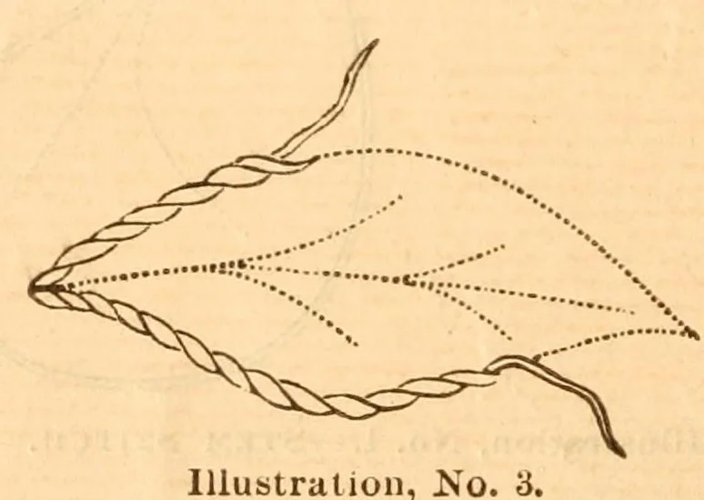 An illustration from Hand-book of embroidery;, 1880, leaf 6