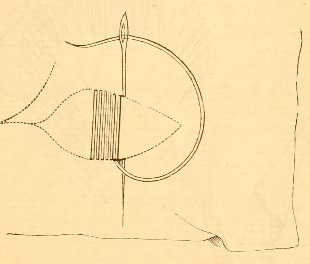 An illustration from Hand-book of embroidery;, 1880, leaf 7