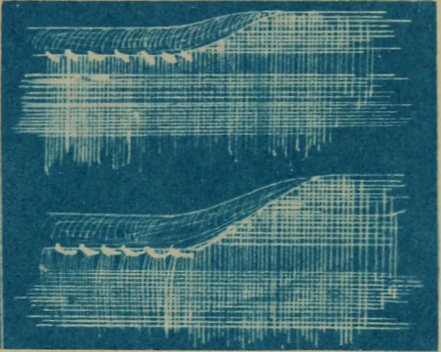 An illustration from A handbook of Greek lace making, 1870, leaf 14