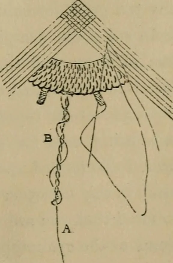 An illustration from A handbook of Greek lace making, 1870, leaf 20